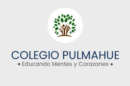 Alumnos en Linea - Colegio Pulmahue