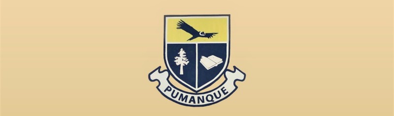 Colegio Pulmahue